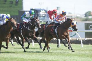 Melody Belle has now had 18 starts for nine wins, three placings and $1.38 million in stakes – 24 times her purchase price.